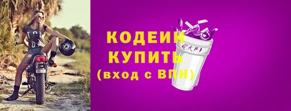 apvp Бородино