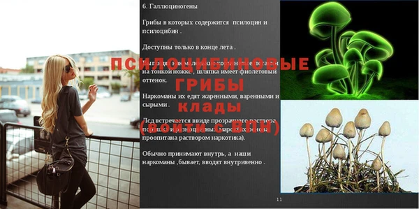 apvp Бородино