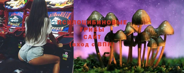 спиды Бугульма