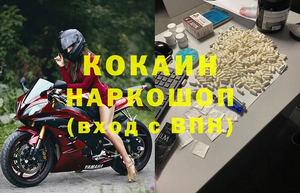 apvp Бородино