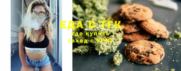 apvp Бородино